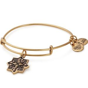 NWT! Alex and Ani Healing Love Bracelet